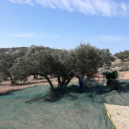Vilana Lägenhet Kalamos (Kythira)