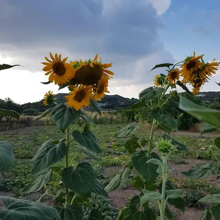 Vilana Апартаменты Kalamos (Kythira)