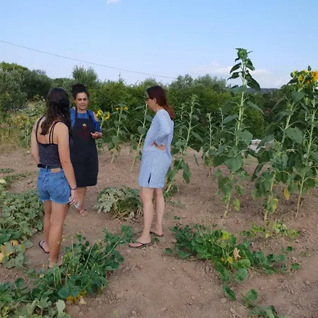 Lägenhet Vilana Kalamos (Kythira)