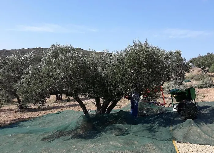 Vilana شقة Kalamos (Kythira)