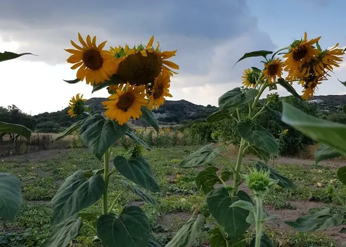 Vilana شقة Kalamos (Kythira)